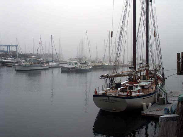 Appledore.jpg