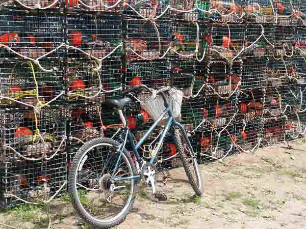 Bicycle.jpg