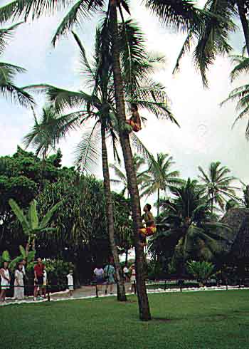pcc12.jpg (38767 bytes)